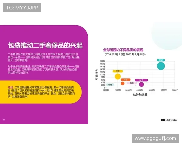球鞋二级市场风云变幻与投资收藏新趋势解析及消费文化深度观察 - 副本 (2)