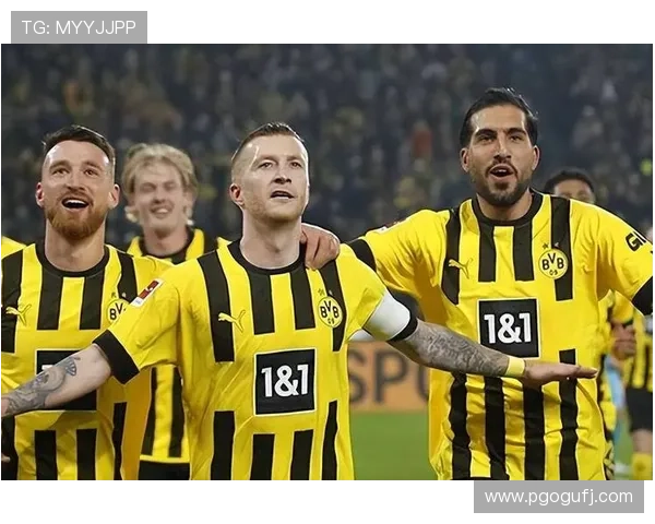 德甲全程赛事直播与精彩瞬间深度解析平台